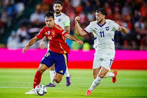 スペイン vs セルビア