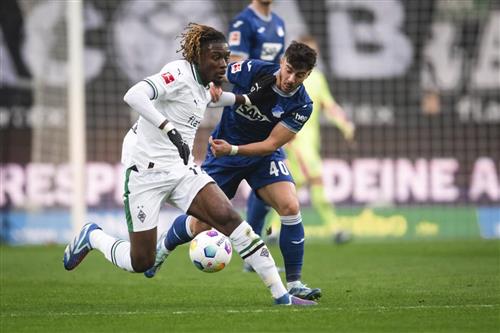 B. メンヒェングラートバッハ vs TSG ホッフェンハイム